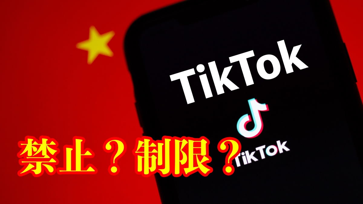 TikTok 禁止の国 なぜ？